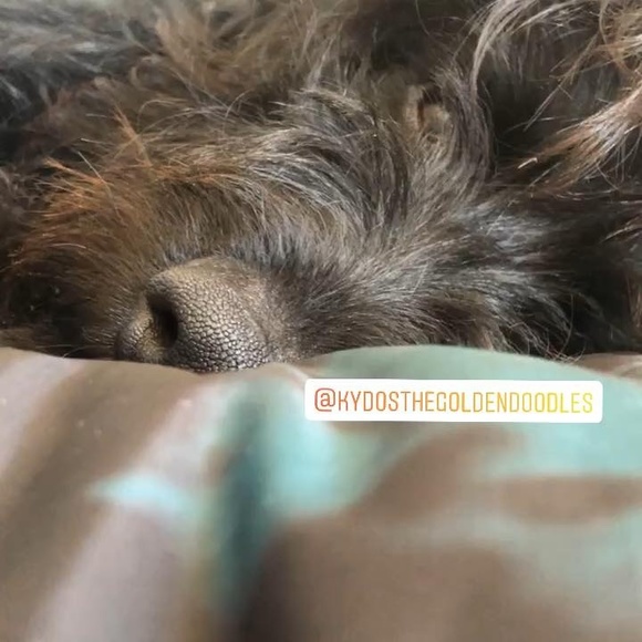 evelynyu